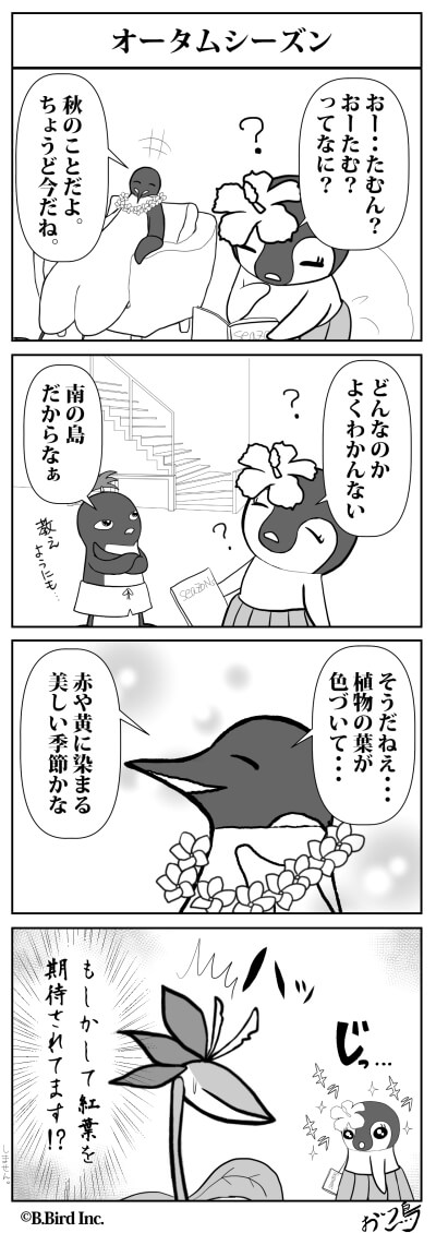 428