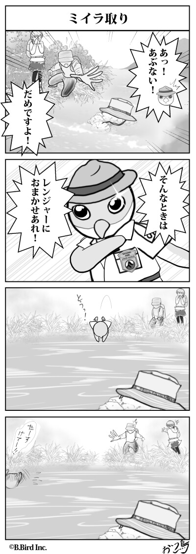 507