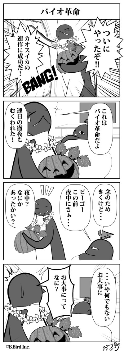 519