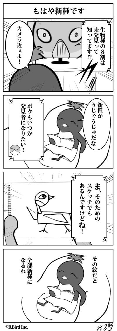 613